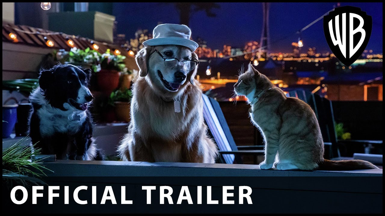 Cats & Dogs 3 Paws Unite! Trailer Live Cinema News
